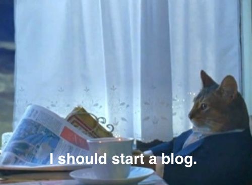 I should buy a boat cat meme changed to “I should start a blog”
